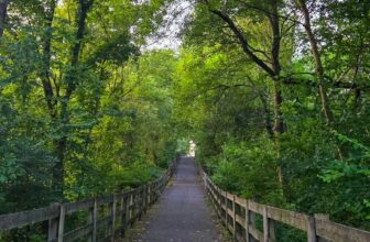 The Little Issues Publication #479 – Life, laughter, and many nice meals!