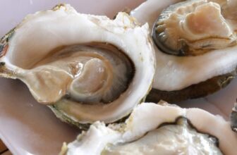 At Least 2 Folks Died of ‘Flesh-Consuming’ Micro organism After Consuming Tainted Oysters