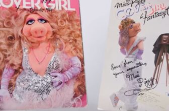 The Jim Henson Firm Is Auctioning Off Basic Puppets and Extra for the First Time Ever