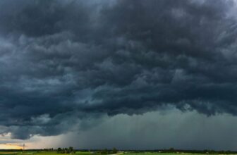 Easy methods to Develop into a Yard Meteorologist With a Few Easy Instruments