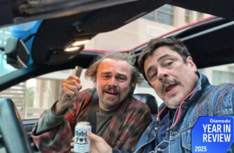 In 2025, There Was One Good Meme After One other