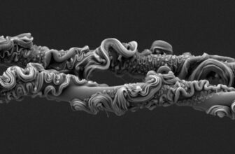 You may By no means Guess What Took First Place on the Royal Society’s Photograph Competitors